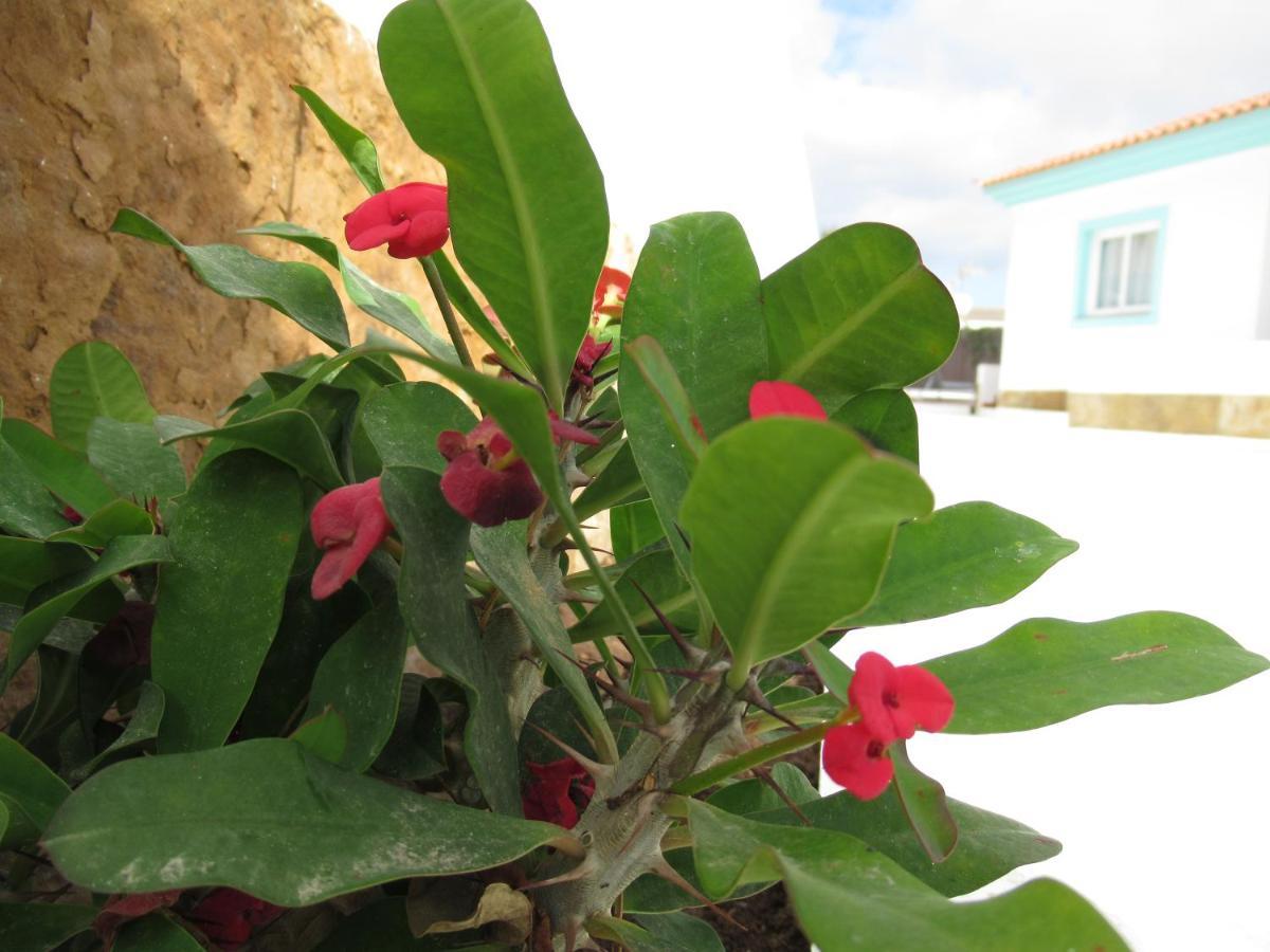 Nautico Boutique Apartments, By Comfortable Luxury - Adults Only Corralejo Exterior foto